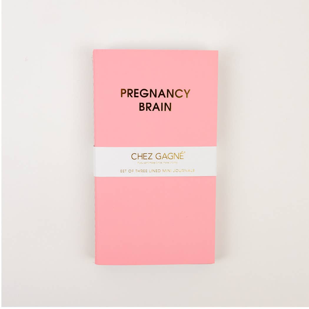 "Pregnancy Brain mini journal from Mom Brain Mini-Journal Set, perfect for guided journaling and journal prompts on-the-go."