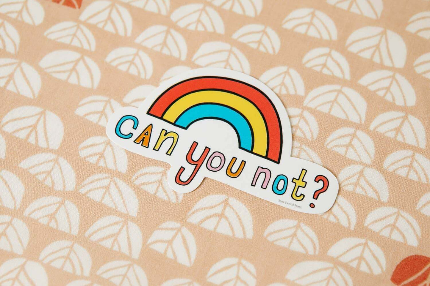 Playful 'Can You Not?' vinyl decal sticker with a colorful rainbow, perfect for journaling supplies and versatile applications.