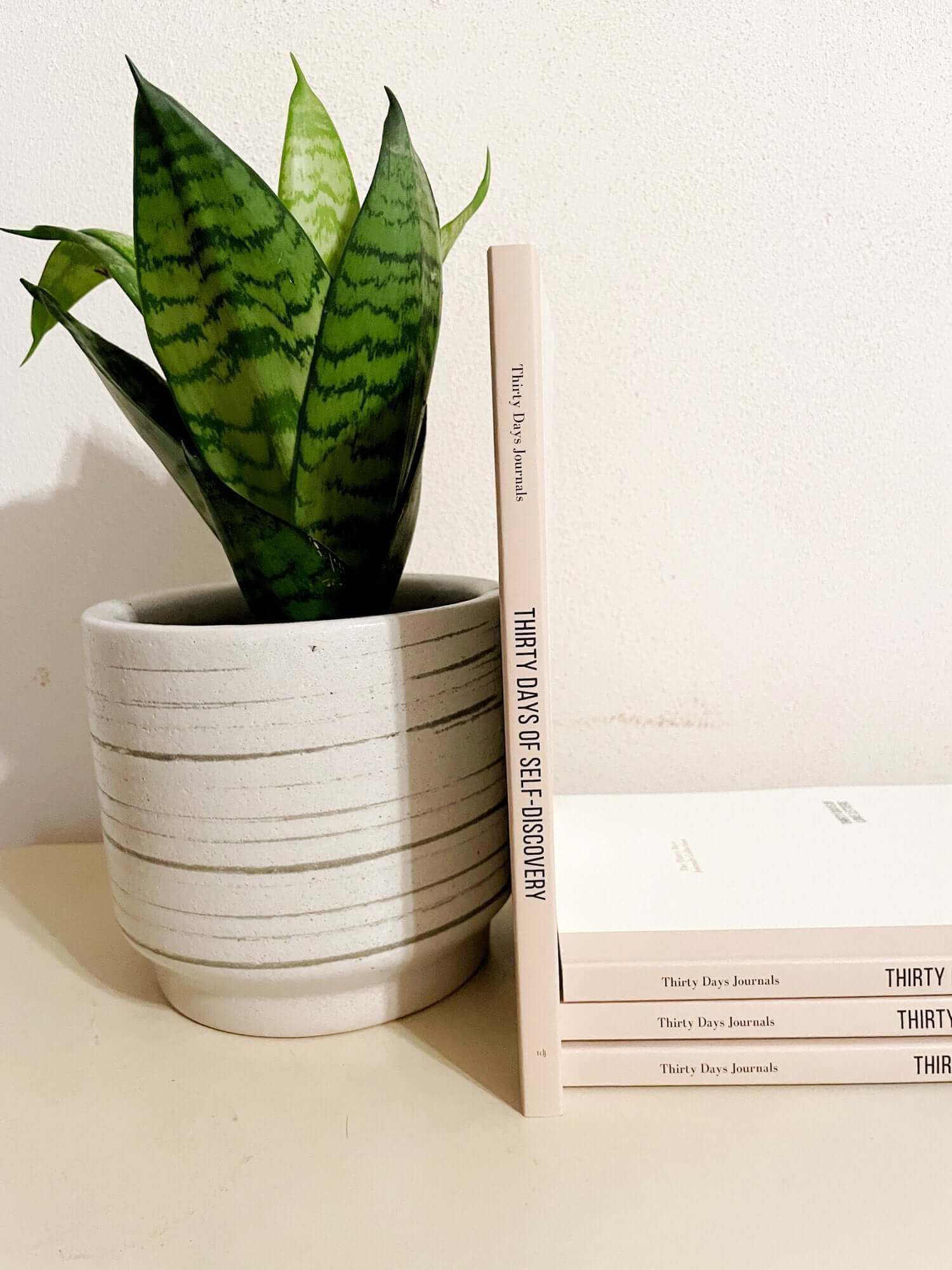 Copy of "Thirty Days of Self-Discovery" journal next to a snake plant in a white pot, ready for a journaling adventure.