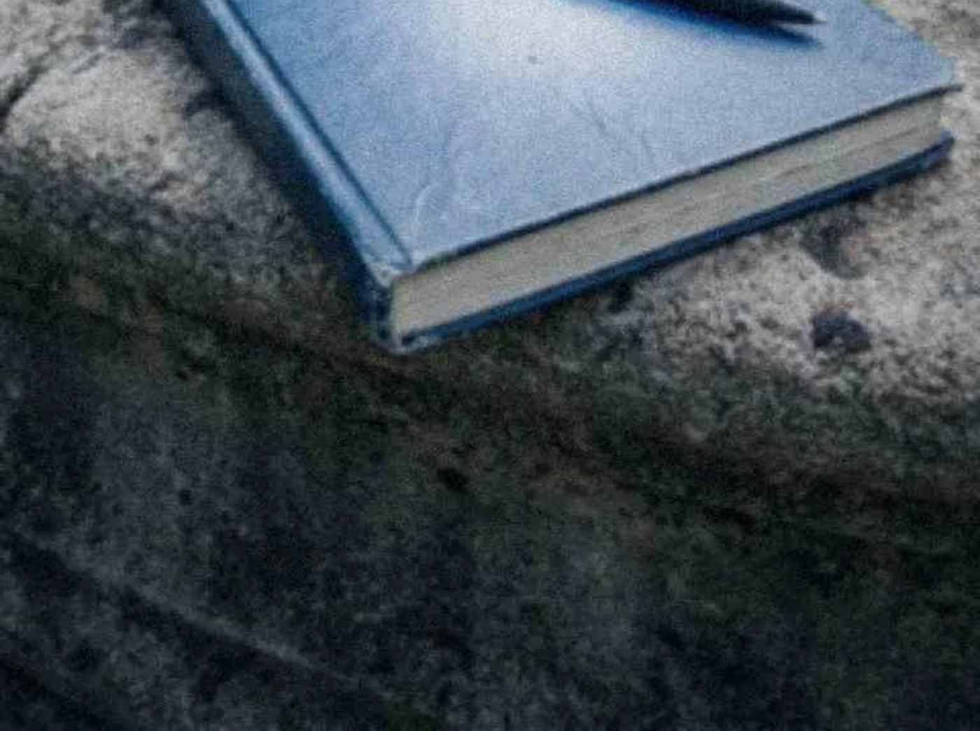 Open notebook beside a garden fountain